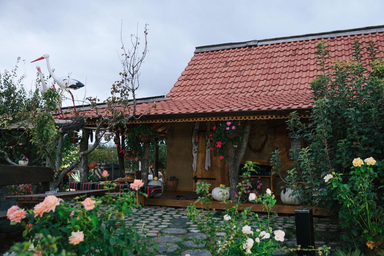 Gagauz Sofrasi Hotell Congaz Exteriör bild